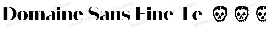 Domaine Sans Fine Te字体转换